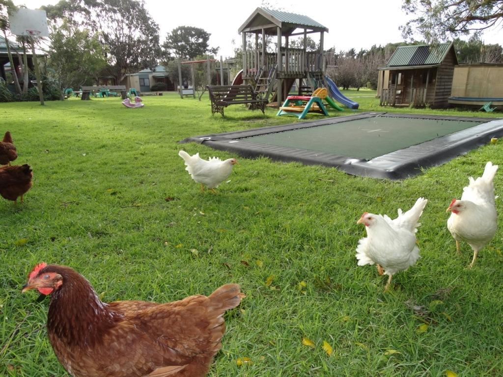 Ripples N Tonic Farmstay Ventnor Εξωτερικό φωτογραφία